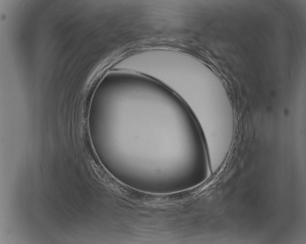 X0000082950293200702011055