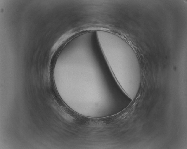 X0000082950296200702011054