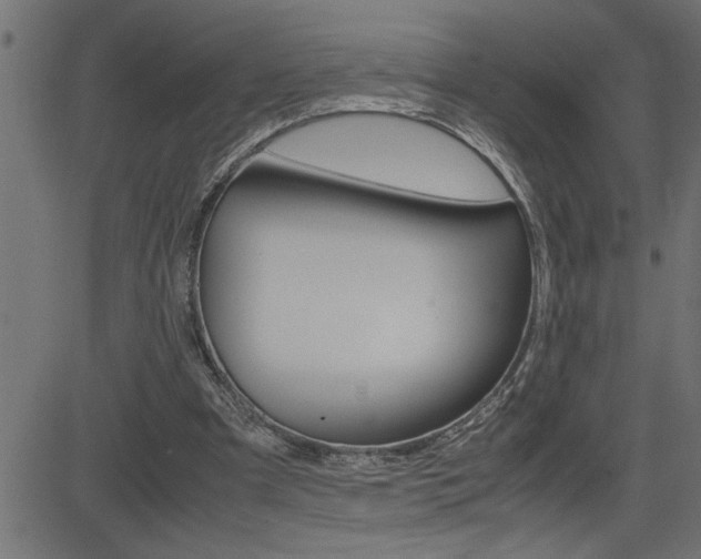 X0000082950297200702011054