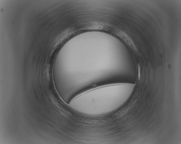 X0000082950300200702011054