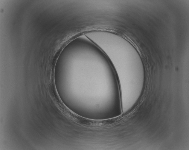 X0000082950301200702011054