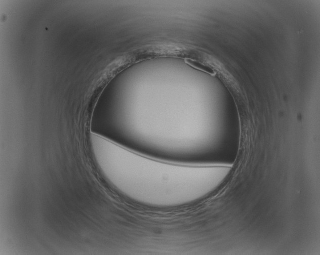 X0000082950309200702011054