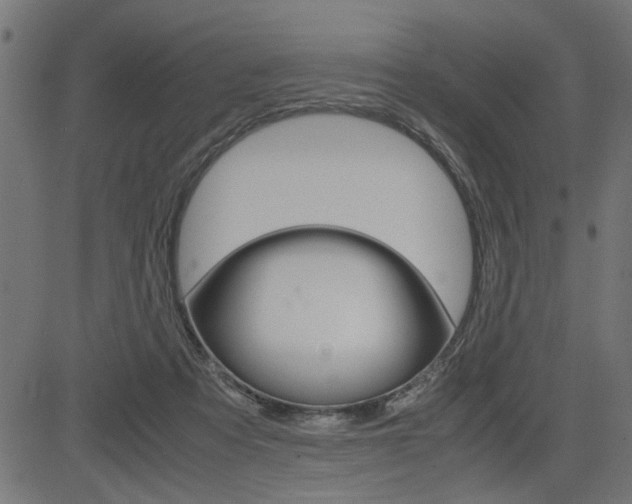 X0000082950313200702011054