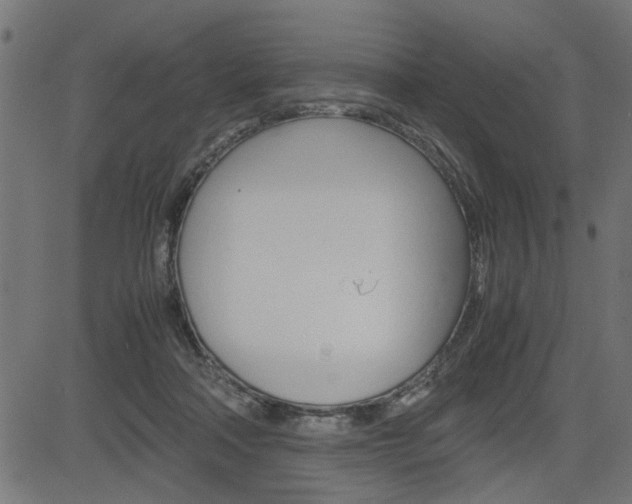X0000082950314200702011054