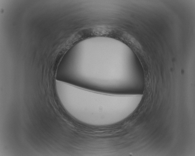 X0000082950315200702011054