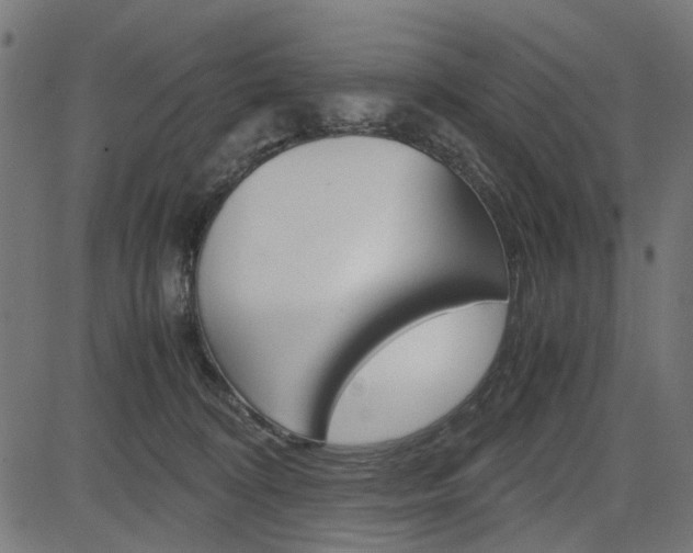 X0000082950324200702011054