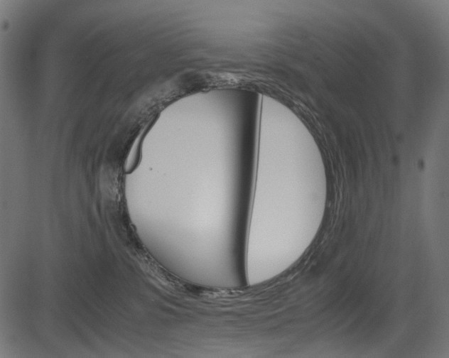 X0000082950331200702011054