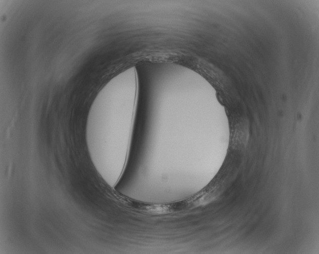 X0000082950335200702011054
