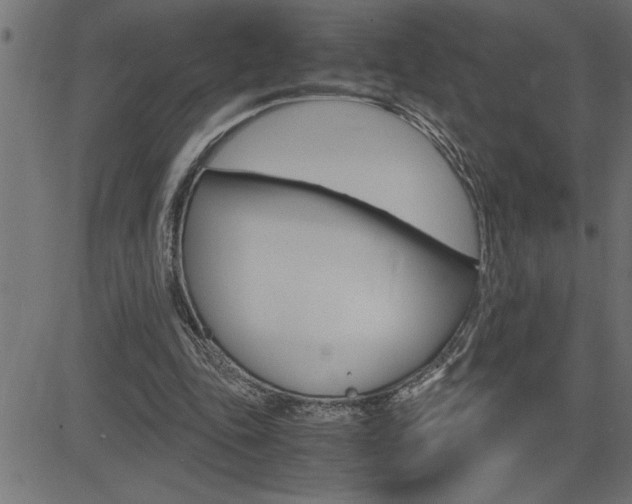 X0000082950343200702011053