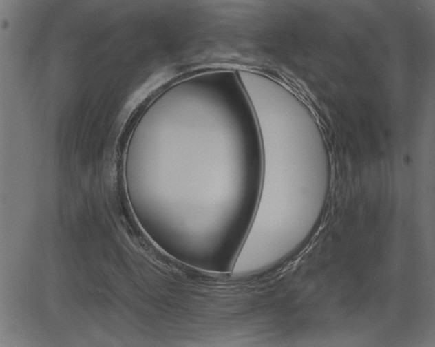 X0000082950344200702011053