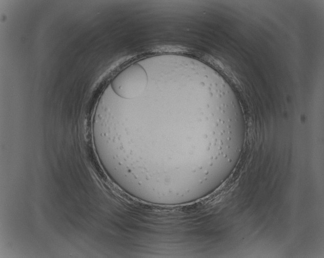 X0000082950351200702011053