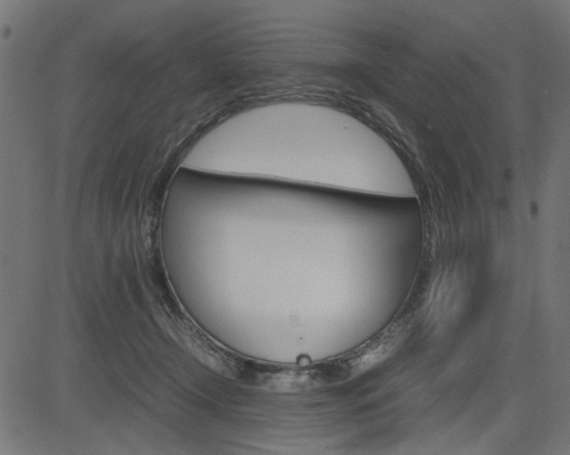 X0000082950366200702011054