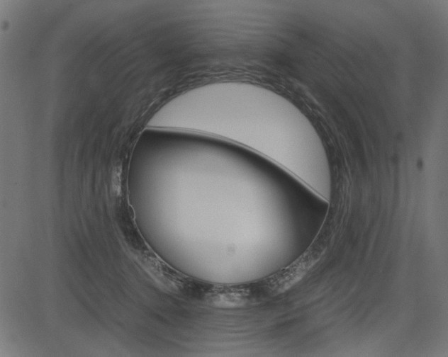 X0000082950368200702011054