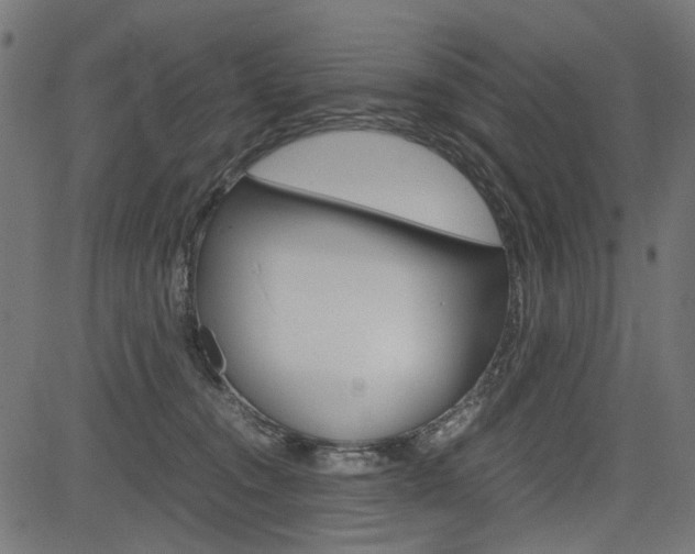 X0000082950372200702011054