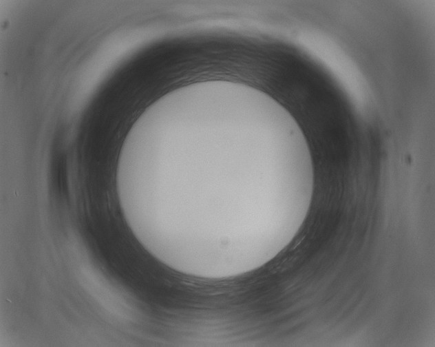 X0000082950382200702011054