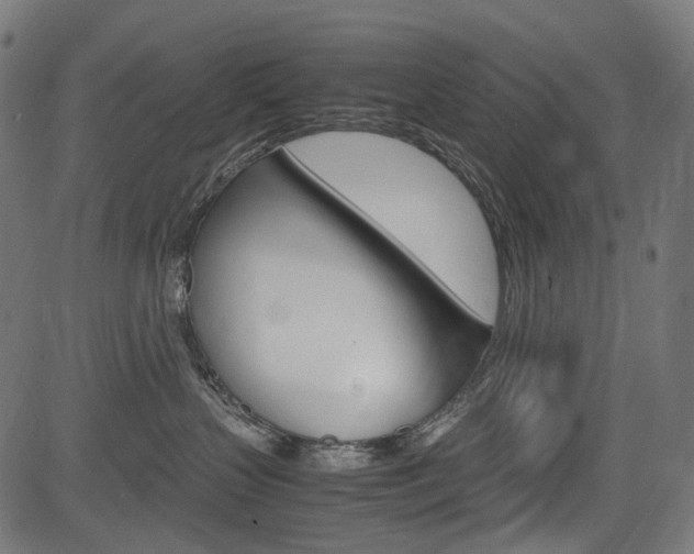 X0000082950383200702011054