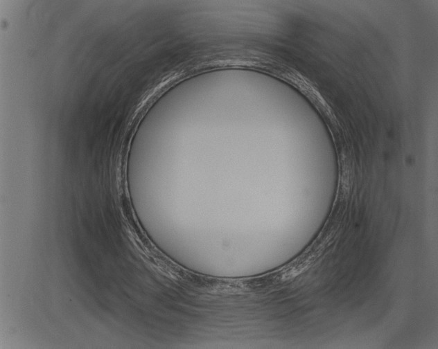 X0000082950386200702011053
