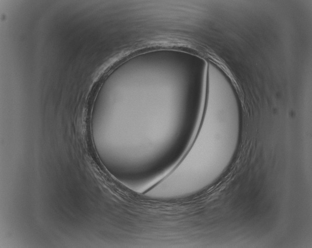 X0000082950387200702011053