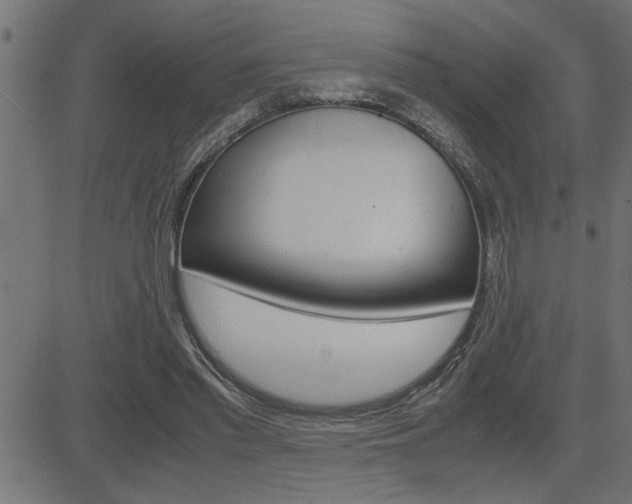 X0000082950397200702011053