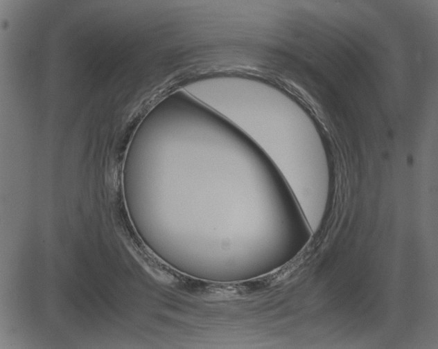 X0000082950405200702011053