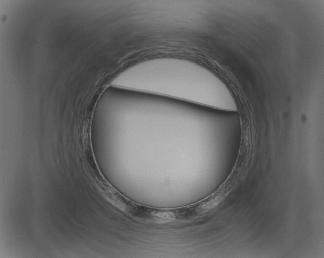 X0000082950409200702011053