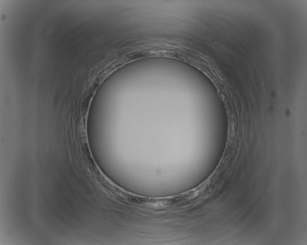 X0000082950411200702011053