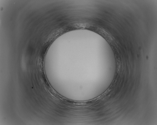 X0000082950414200702011053
