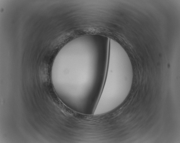 X0000082950416200702011053
