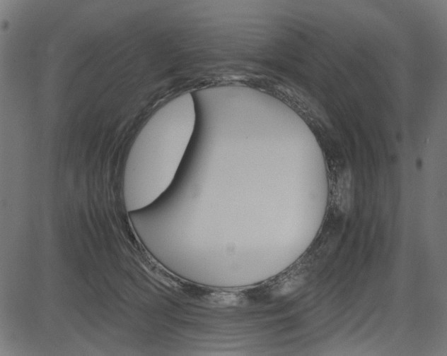 X0000082950418200702011053