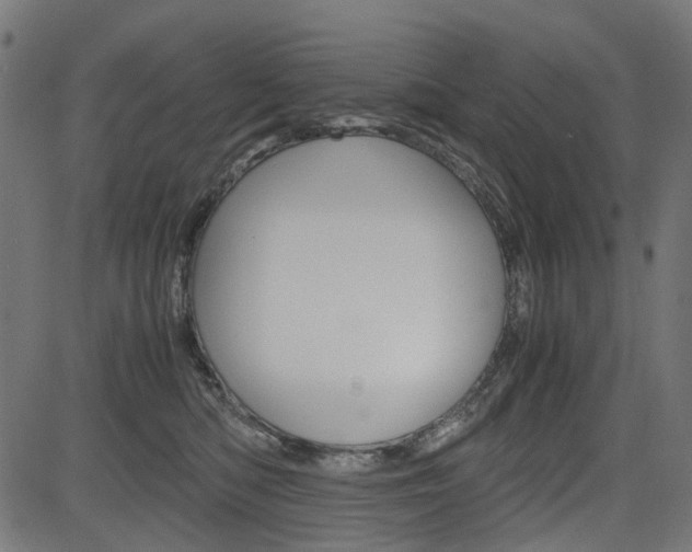 X0000082950422200702011052