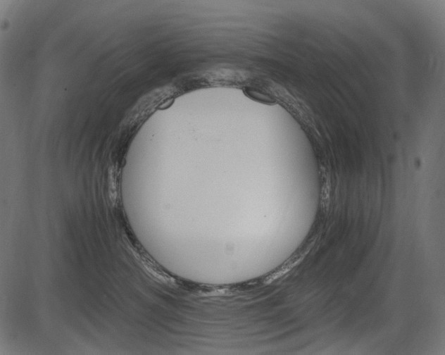 X0000082950430200702011052