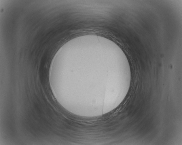 X0000082950431200702011052