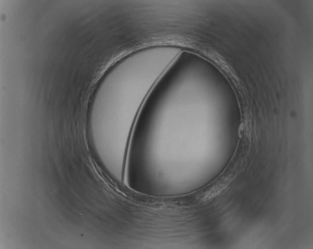 X0000082950434200702011052