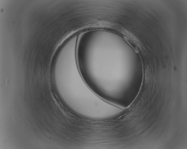 X0000082950436200702011052