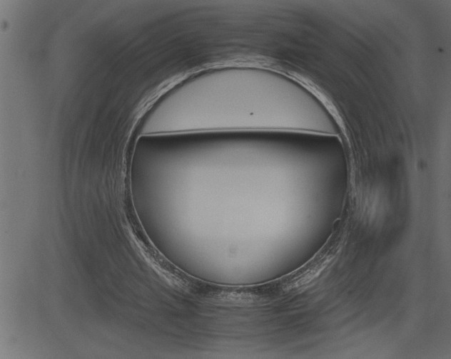 X0000082950437200702011052