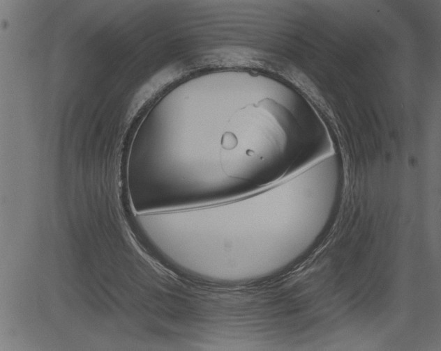 X0000082950438200702011052