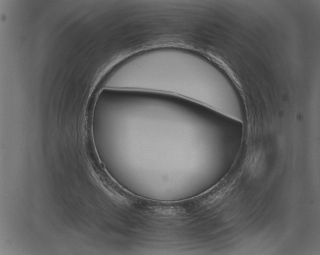 X0000082950439200702011052