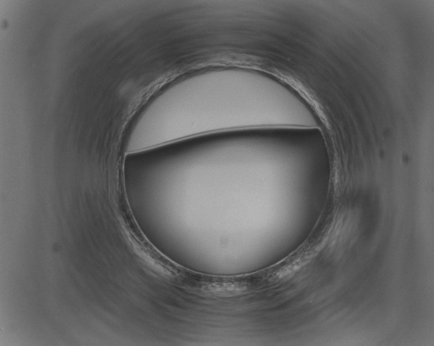 X0000082950445200702011052