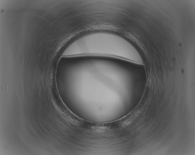 X0000082950448200702011052