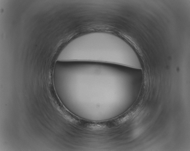 X0000082950453200702011052