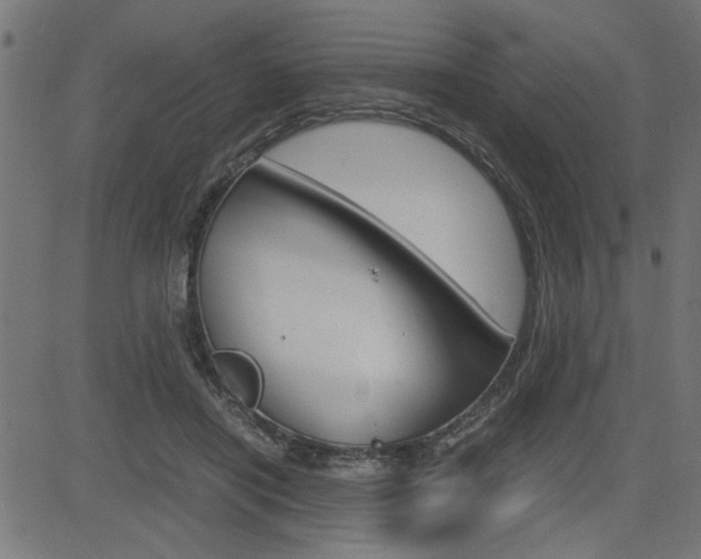 X0000082950454200702011052