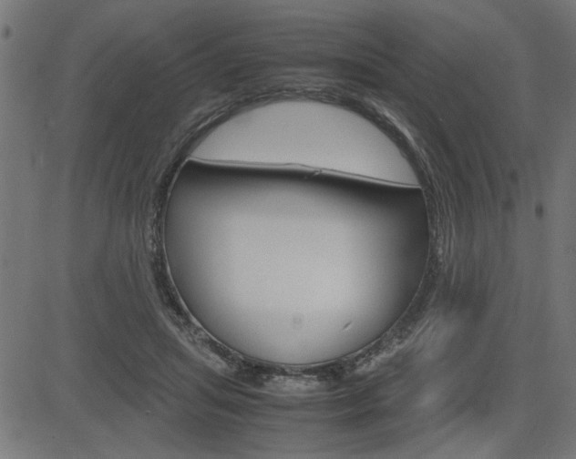 X0000082950455200702011052