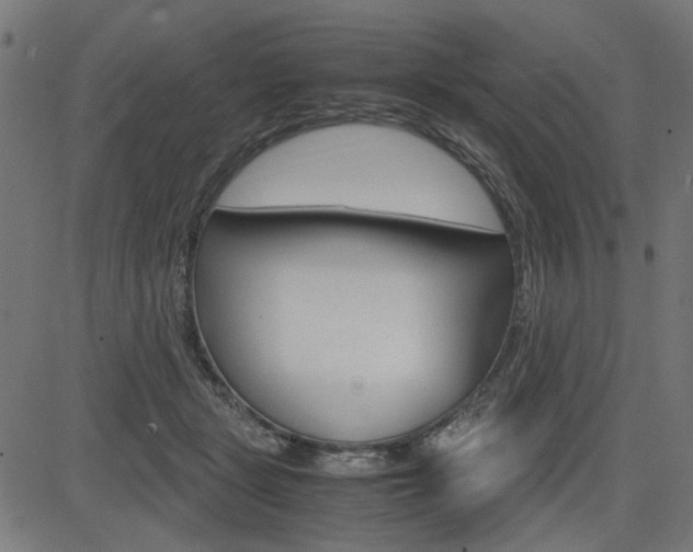 X0000082950461200702011052