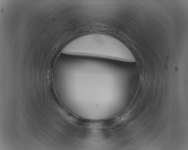 X0000082950462200702011052