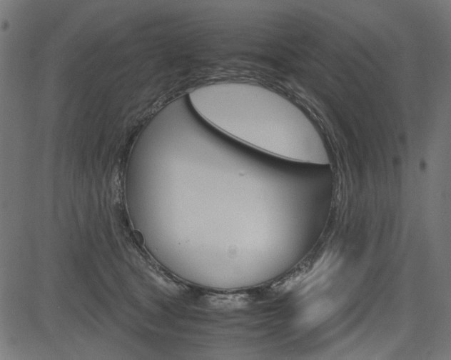 X0000082950465200702011052
