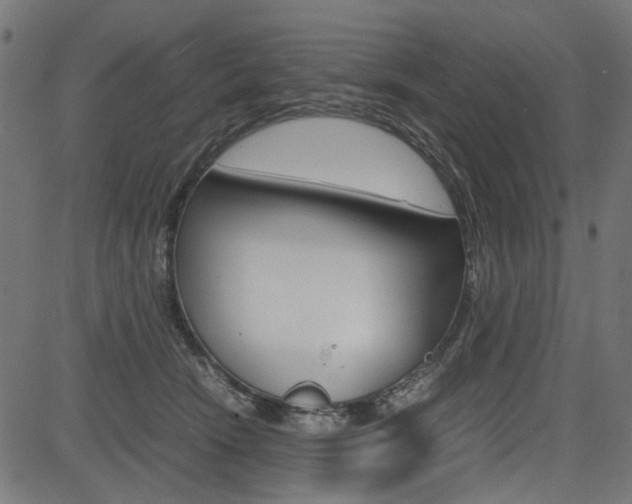 X0000082950466200702011052