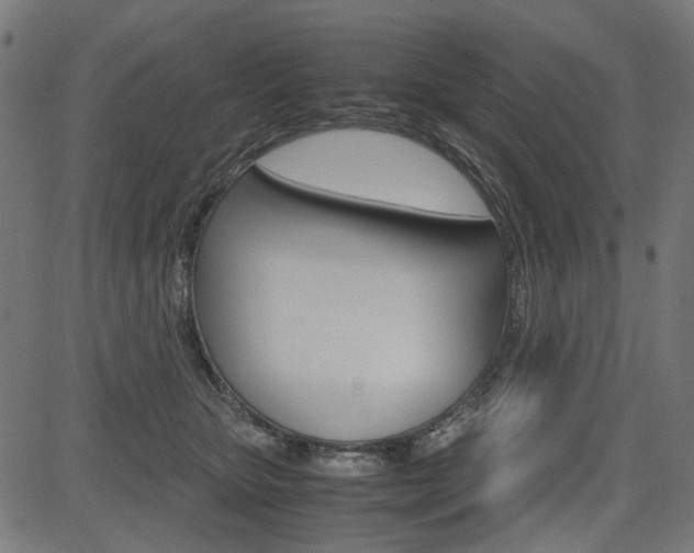 X0000082950467200702011052