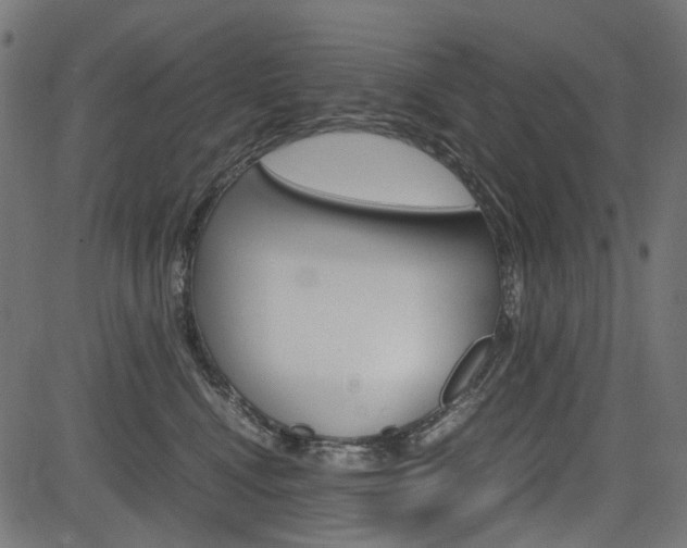 X0000082950472200702011052