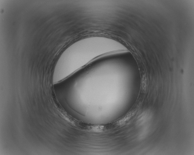 X0000082950474200702011052