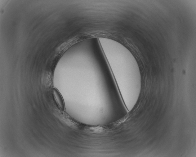 X0000082950478200702011052